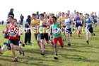 Boys under-13s 2016 Inter Counties Cross Country Champs. and Cross Challenge Final, Cofton Park, Birmingham. Photo: David T. Hewitson/Sports for All Pics